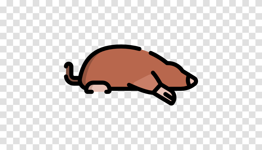 Mole, Animal, Mammal, Rodent, Invertebrate Transparent Png