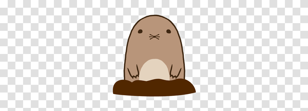 Mole, Apparel, Cowboy Hat, Baseball Cap Transparent Png