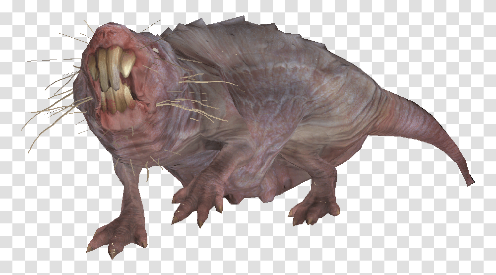 Mole Rat From Fallout, Animal, Mammal, Wildlife, Pig Transparent Png