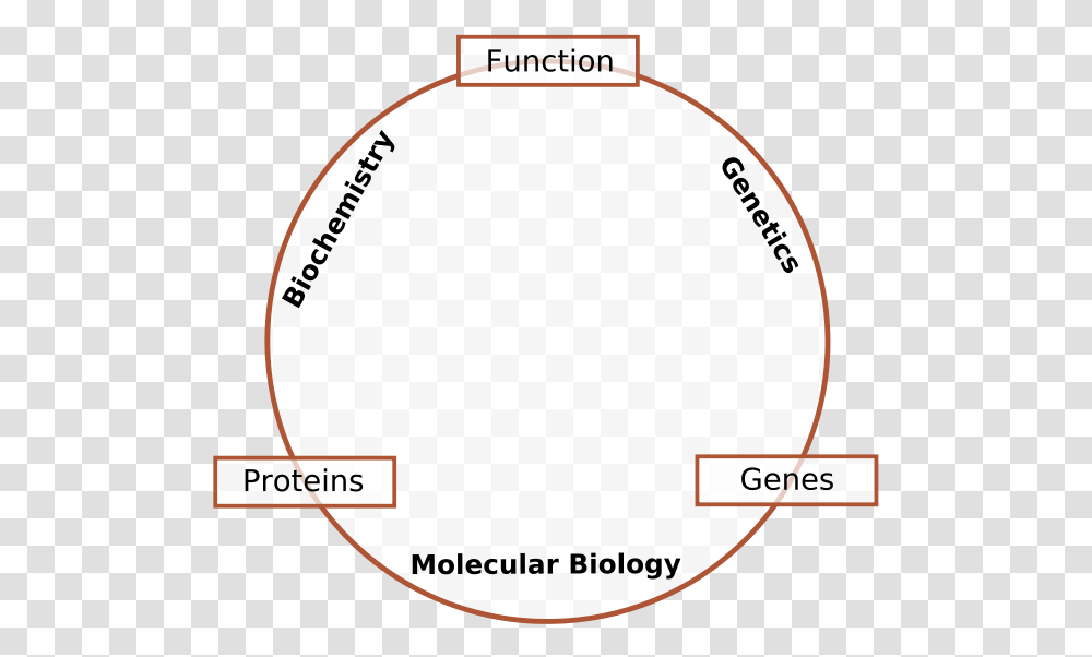 Molecular Biology, Plot, Diagram, Label Transparent Png