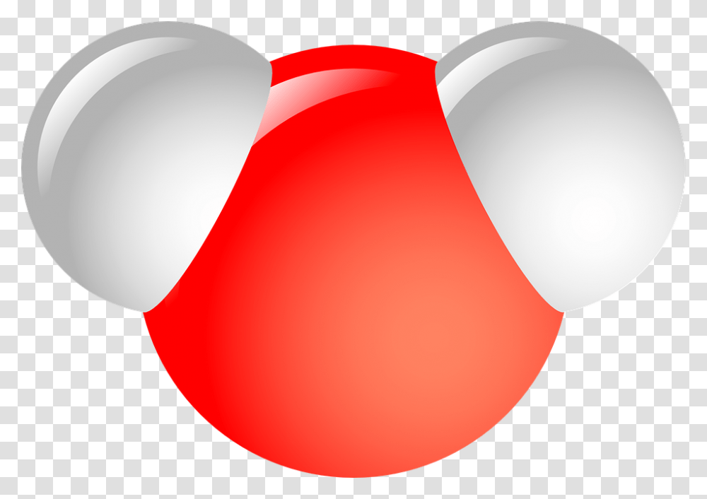 Molecule, Balloon, Plant Transparent Png