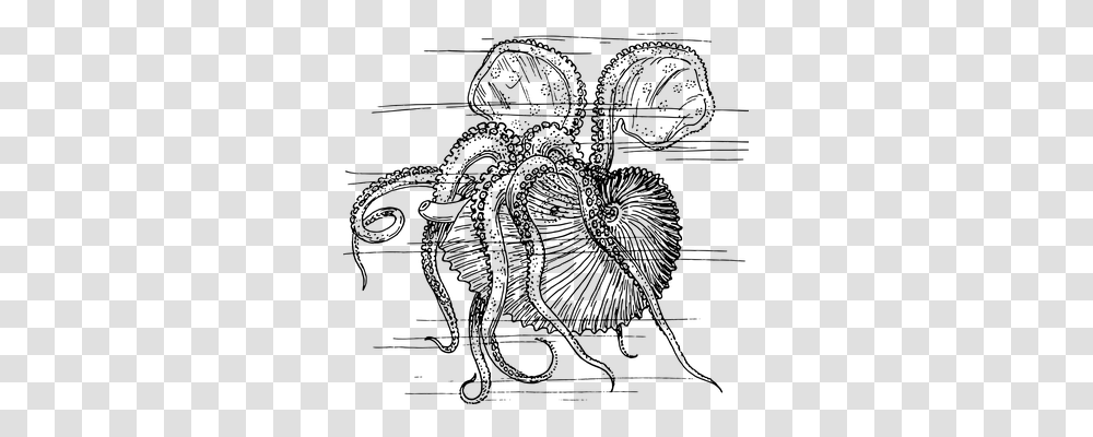 Mollusc Technology, Gray, World Of Warcraft Transparent Png