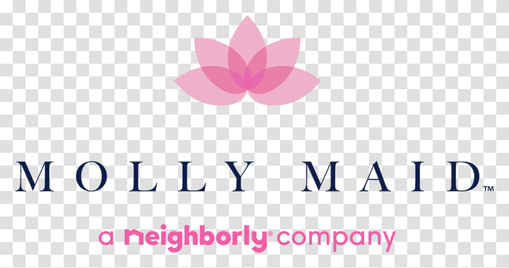 Molly Maid New Logo, Plant, Flower, Hand, Petal Transparent Png