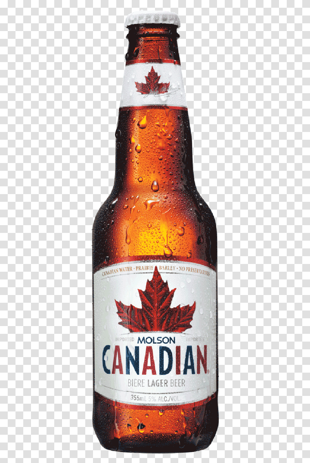 Molson Canadian Beer, Bottle, Alcohol, Beverage, Drink Transparent Png