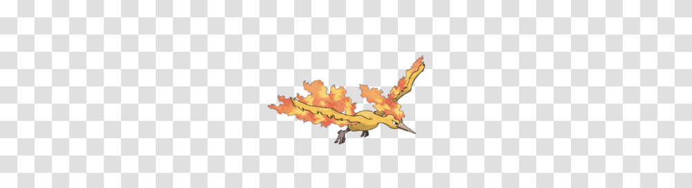 Moltres, Bonfire, Flame, Animal, Mammal Transparent Png