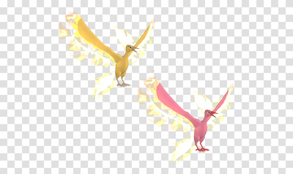 Moltres Free 3d Model Flock, Animal, Beak, Bird, Sea Life Transparent Png