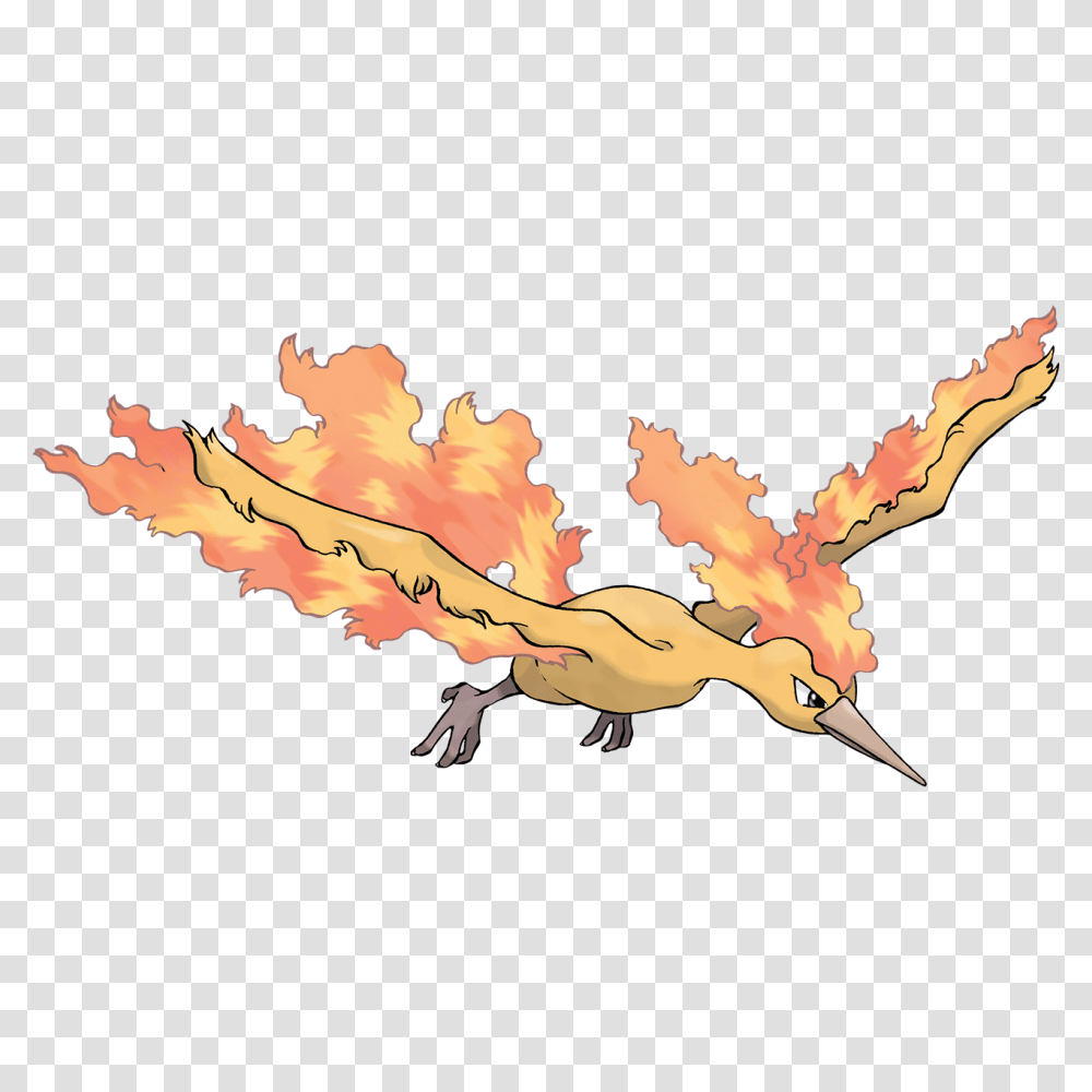 Moltres Pokemon 146, Animal, Bonfire, Flame, Waterfowl Transparent Png