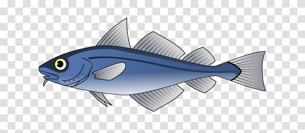 Molumen Codfish, Animals, Tuna, Sea Life, Bonito Transparent Png