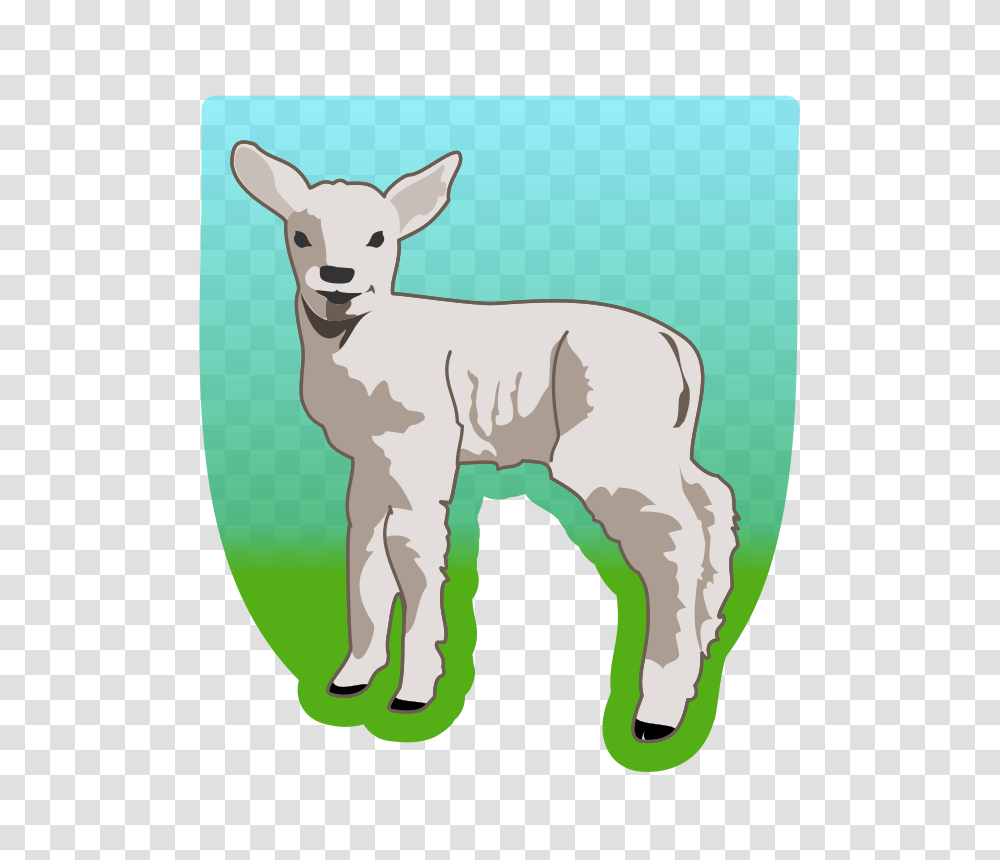 Molumen Young Lamb, Animals, Sheep, Mammal, Cow Transparent Png