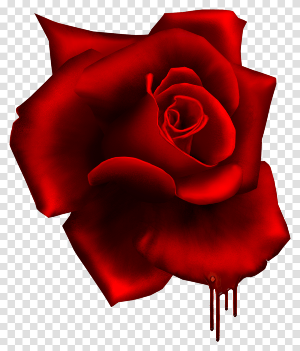 Moma Red Roses Decoration Clip Art Beautiful Flowers Rose Render, Plant, Blossom, Petal Transparent Png