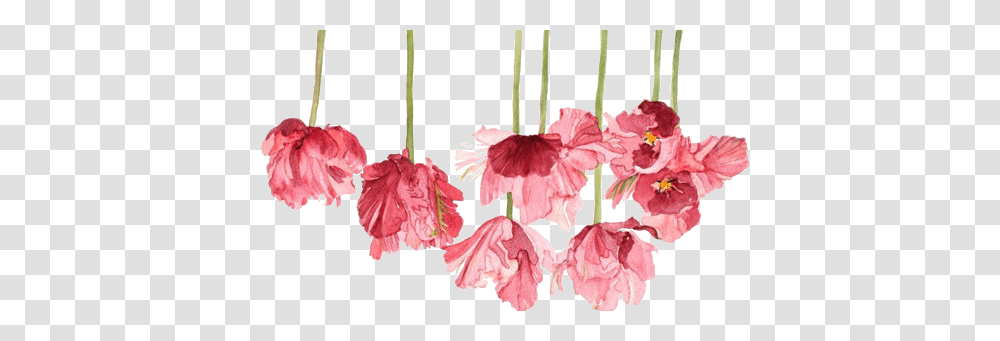 Moms Make Life Beautiful Tote Bag Flowers In A Row, Plant, Blossom, Carnation, Hibiscus Transparent Png