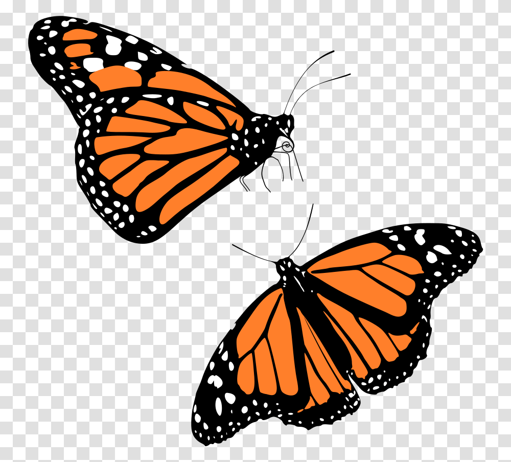 Monarch Butterflies Background Monarch Butterfly, Insect, Invertebrate, Animal Transparent Png