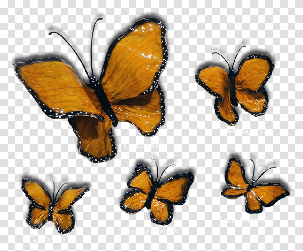 Monarch Butterflies, Butterfly, Insect, Invertebrate, Animal Transparent Png