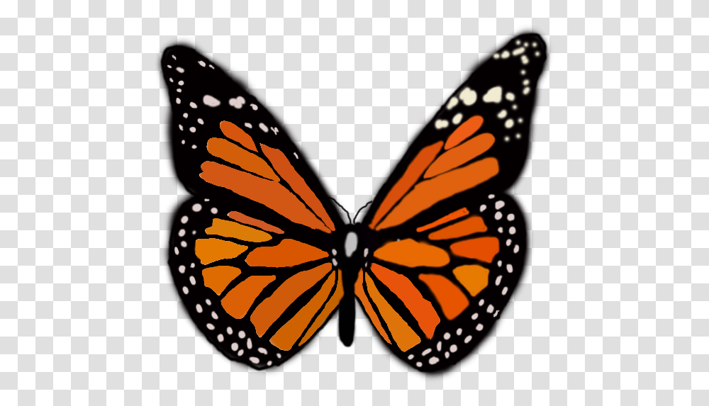 Monarch Butterfly 3d, Insect, Invertebrate, Animal, Spider Transparent Png