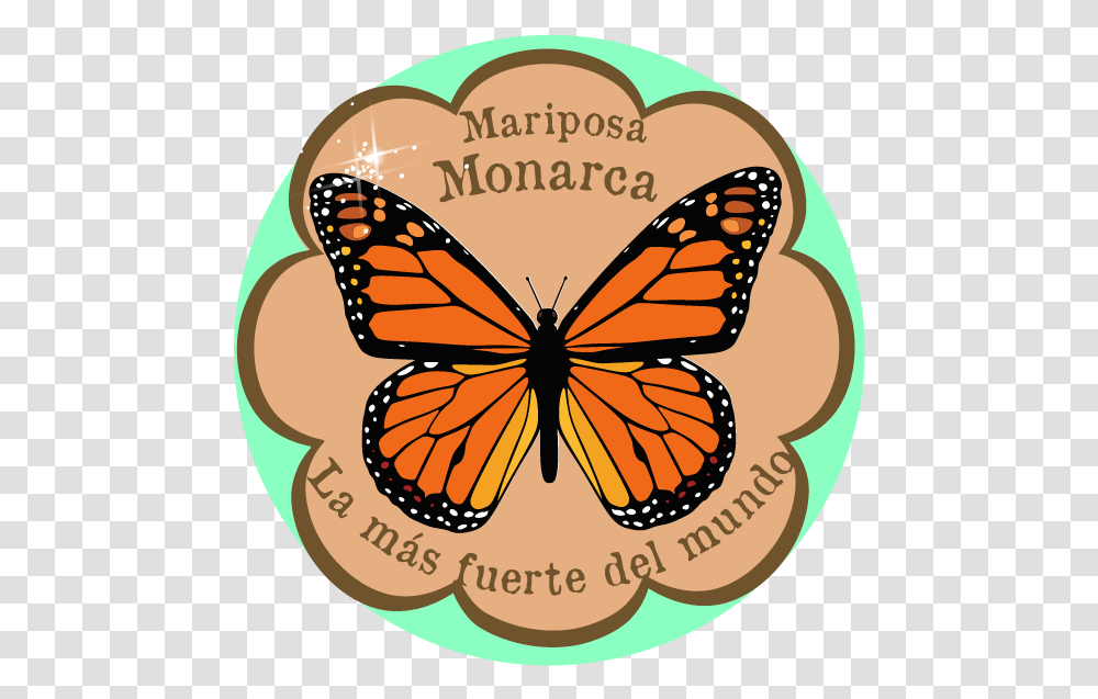 Monarch Butterfly, Animal, Insect, Invertebrate, Pattern Transparent Png