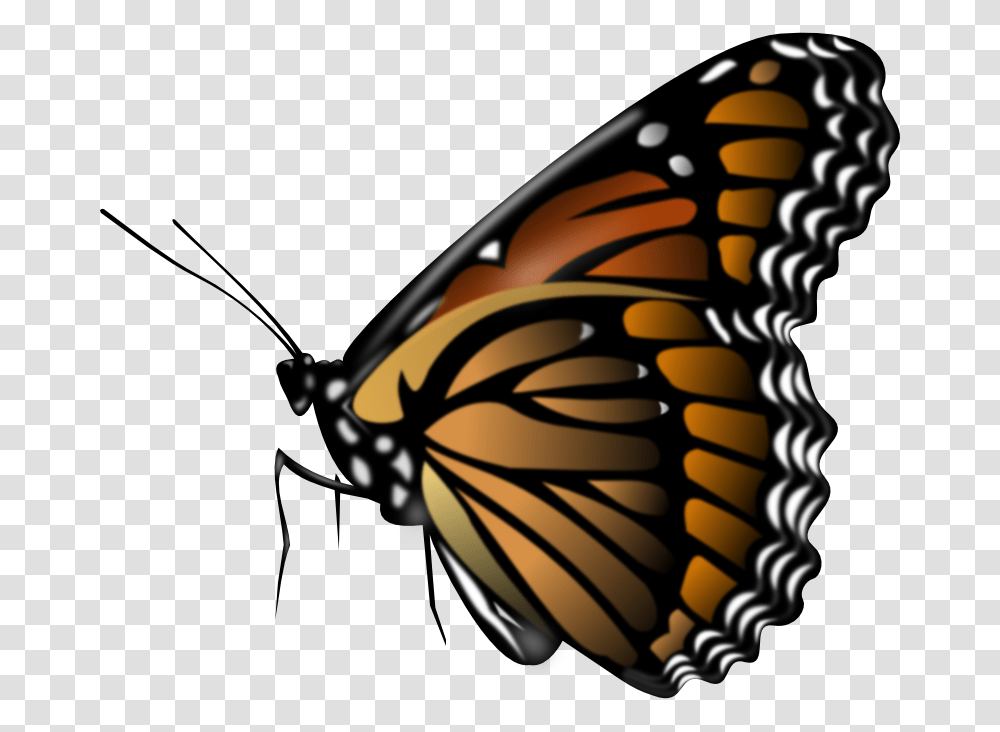 Monarch Butterfly Animation Monarch Butterfly Clip Art Monarch, Insect, Invertebrate, Animal, Bow Transparent Png