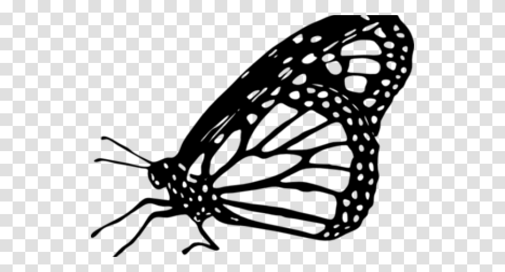 Monarch Butterfly Black And White Clipart, Gray, World Of Warcraft Transparent Png