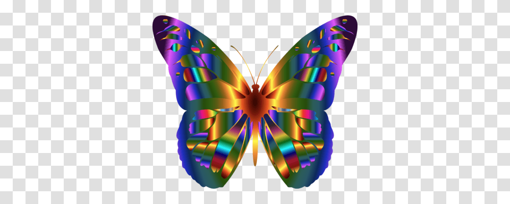 Monarch Butterfly Butterflies Insects A Butterfly Free, Ornament, Pattern Transparent Png