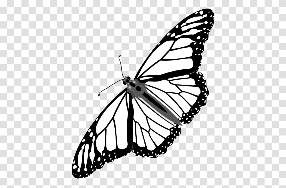 Monarch Butterfly Bw No Shadow Clip Art, Insect, Invertebrate, Animal, Stencil Transparent Png