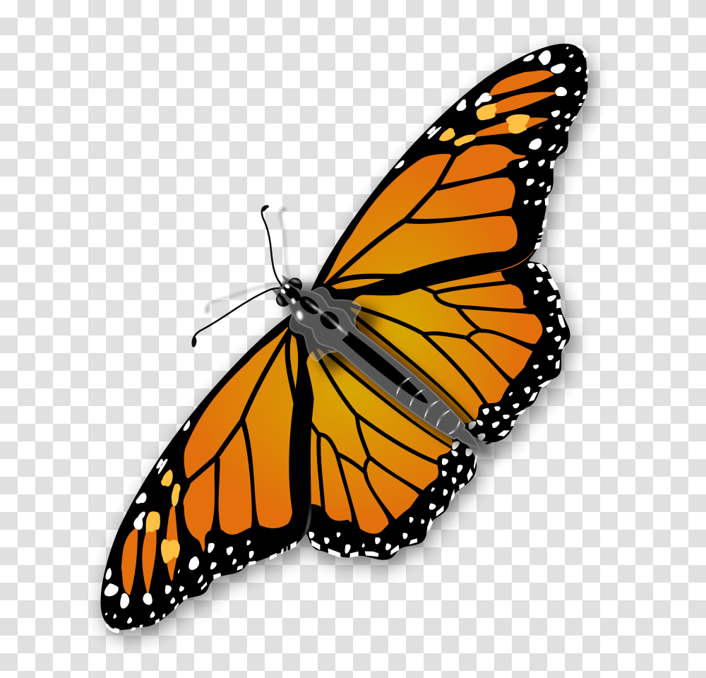 Monarch Butterfly Clip Arts For Web, Insect, Invertebrate, Animal Transparent Png