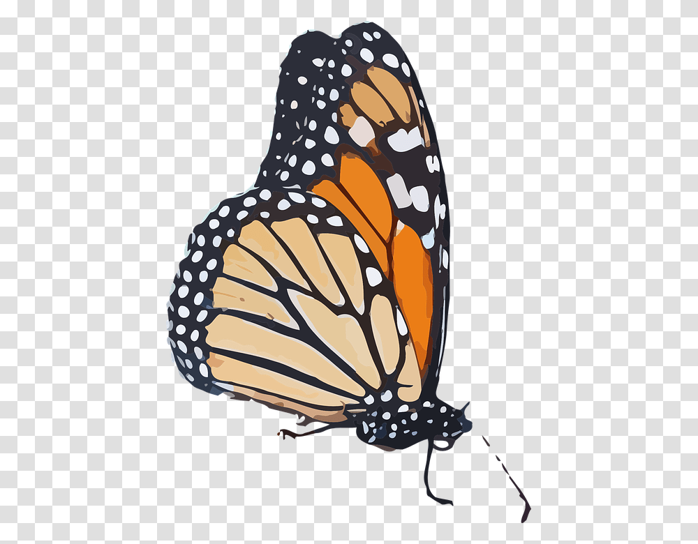 Monarch Butterfly Clipart Background Monarch Butterfly Background, Insect, Invertebrate, Animal Transparent Png
