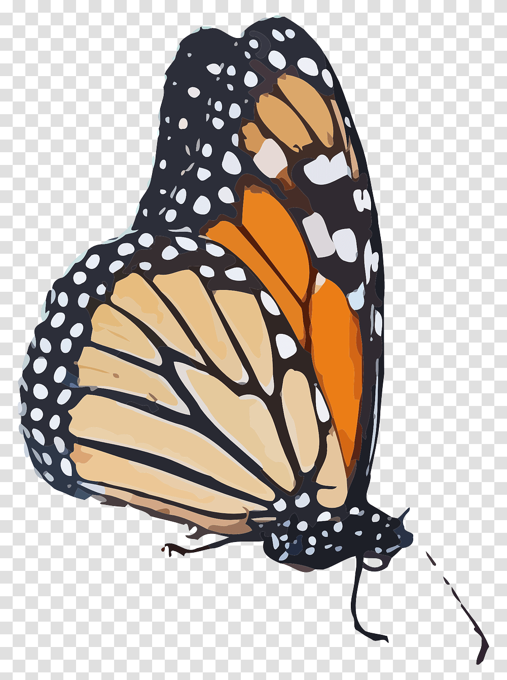 Monarch Butterfly Clipart Background Monarch Monarch Butterfly Background, Insect, Invertebrate, Animal Transparent Png