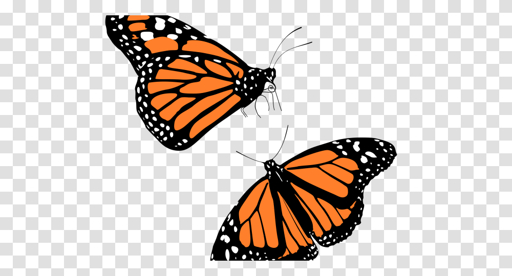Monarch Butterfly Clipart Flying, Insect, Invertebrate, Animal Transparent Png