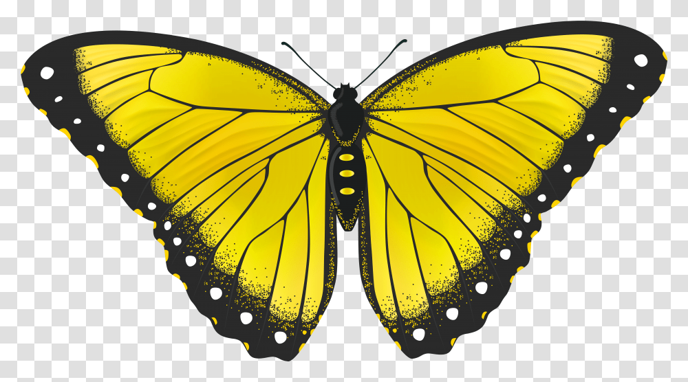 Monarch Butterfly Clipart Full Hd Yellow Butterfly Background Transparent Png