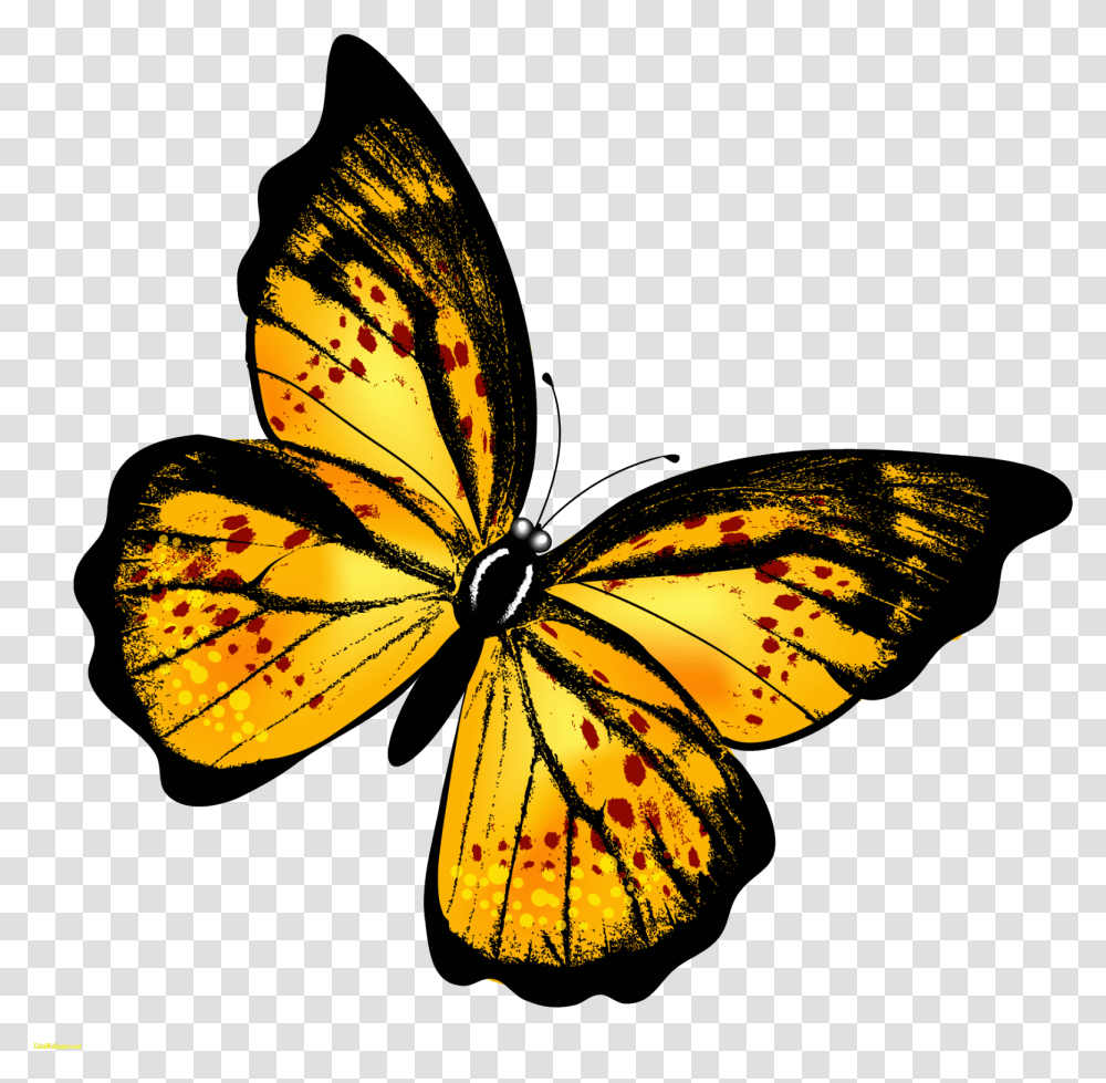 Monarch Butterfly Clipart Hindu God Butterfly Yellow Gif, Insect, Invertebrate, Animal, Honey Bee Transparent Png