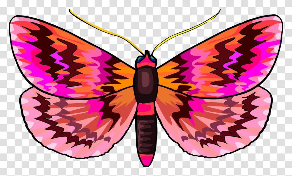 Monarch Butterfly Clipart, Insect, Invertebrate, Animal, Firefly Transparent Png