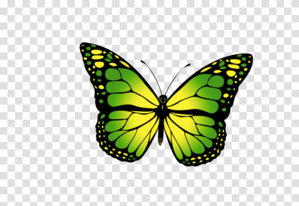 Monarch Butterfly Clipart, Insect, Invertebrate, Animal, Pattern Transparent Png