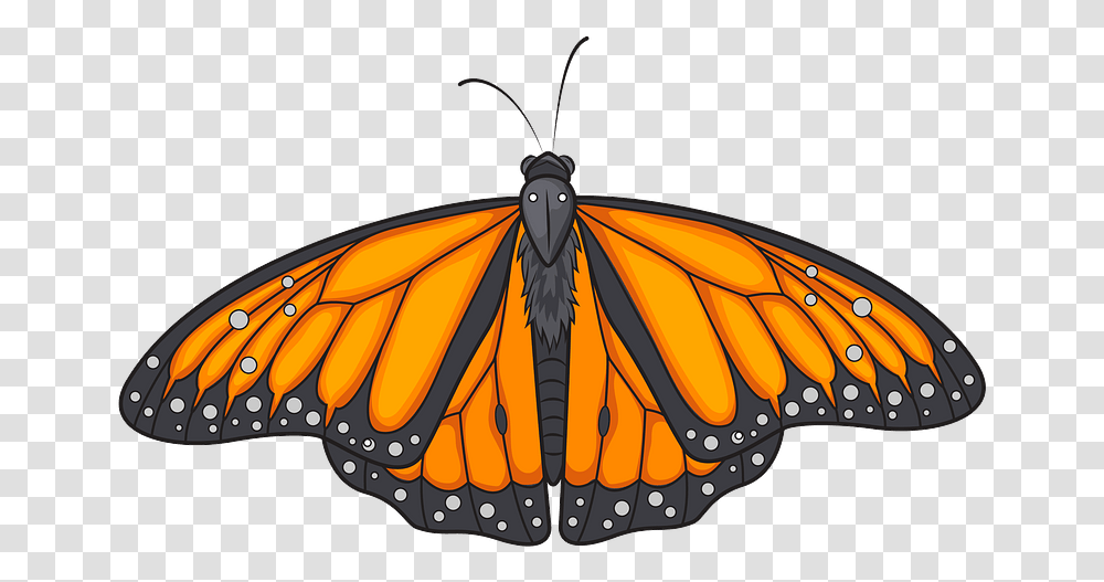 Monarch Butterfly Clipart, Insect, Invertebrate, Animal Transparent Png