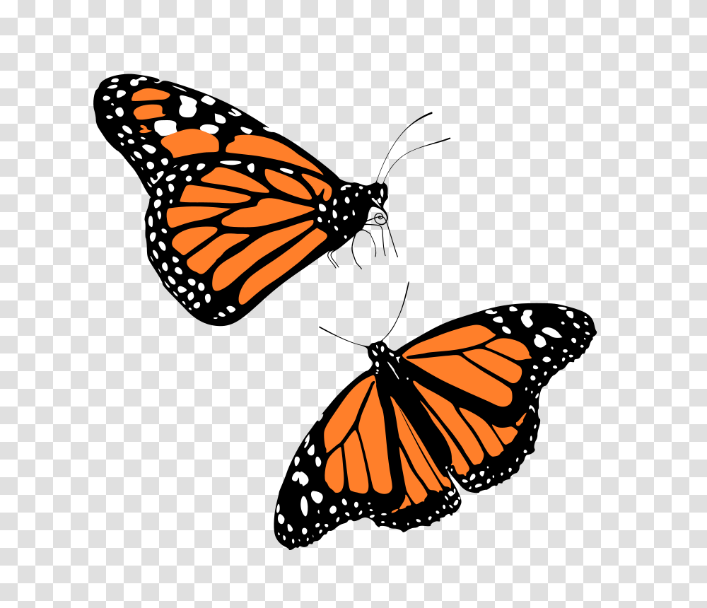 Monarch Butterfly Clipart, Insect, Invertebrate, Animal Transparent Png