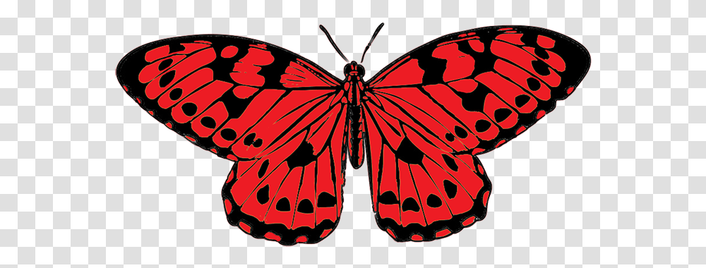Monarch Butterfly Clipart Yellow And Blue Butterflies, Insect, Invertebrate, Animal, Moth Transparent Png