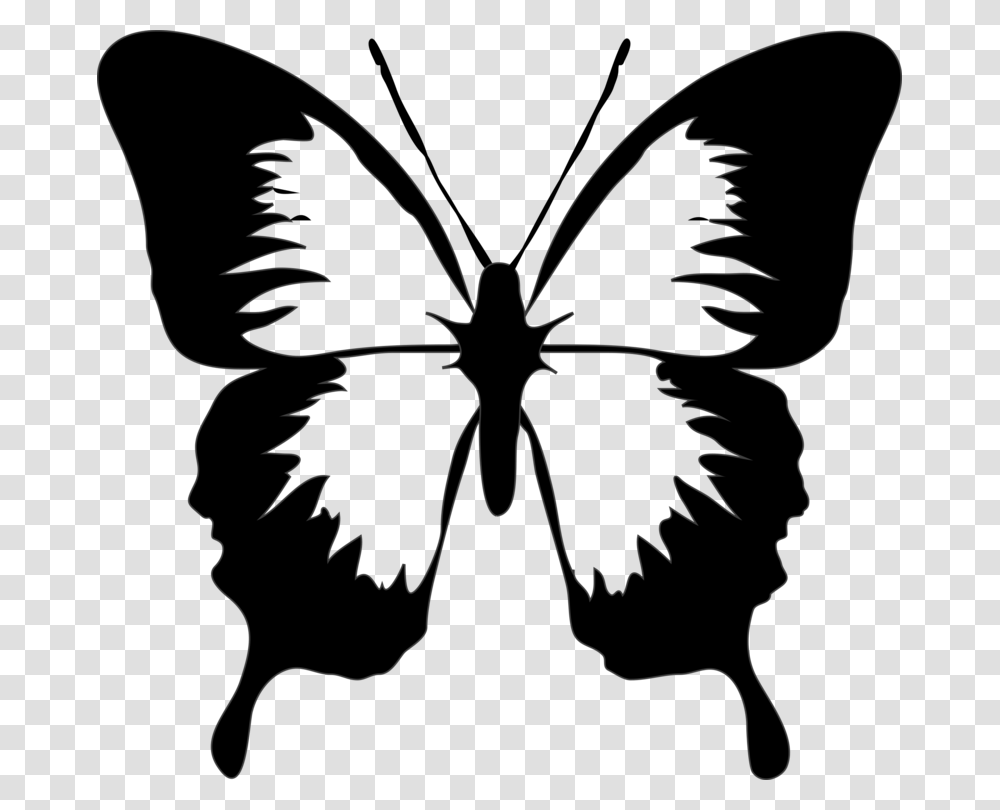 Monarch Butterfly Drawing Download Computer Icons, Stencil, Insect, Invertebrate, Animal Transparent Png