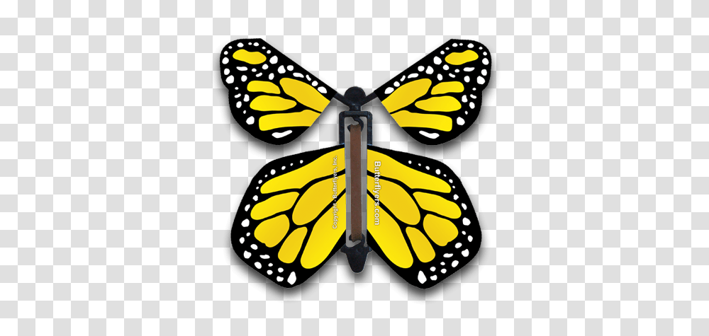 Monarch Butterfly Emrald Clipart Clip Art Images, Insect, Invertebrate, Animal, Dynamite Transparent Png