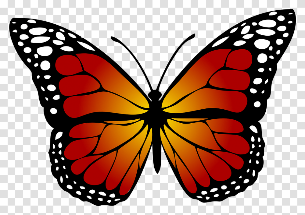 Monarch Butterfly Free Images, Ornament, Pattern Transparent Png