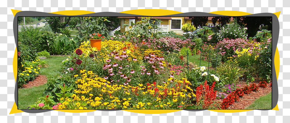 Monarch Butterfly Garden, Outdoors, Plant, Yard, Nature Transparent Png