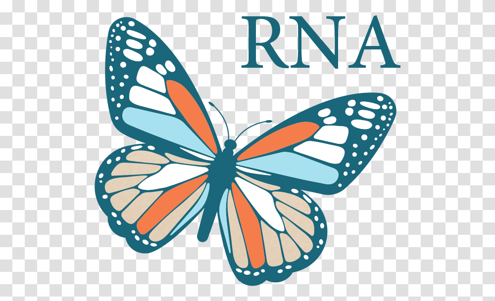 Monarch Butterfly, Pattern, Animal Transparent Png