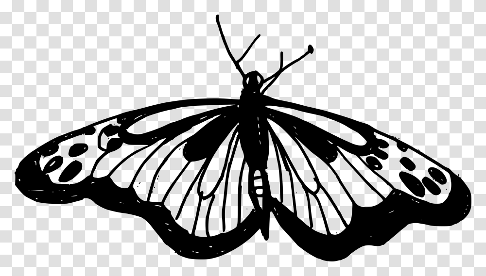 Monarch Butterfly, Gray, World Of Warcraft Transparent Png