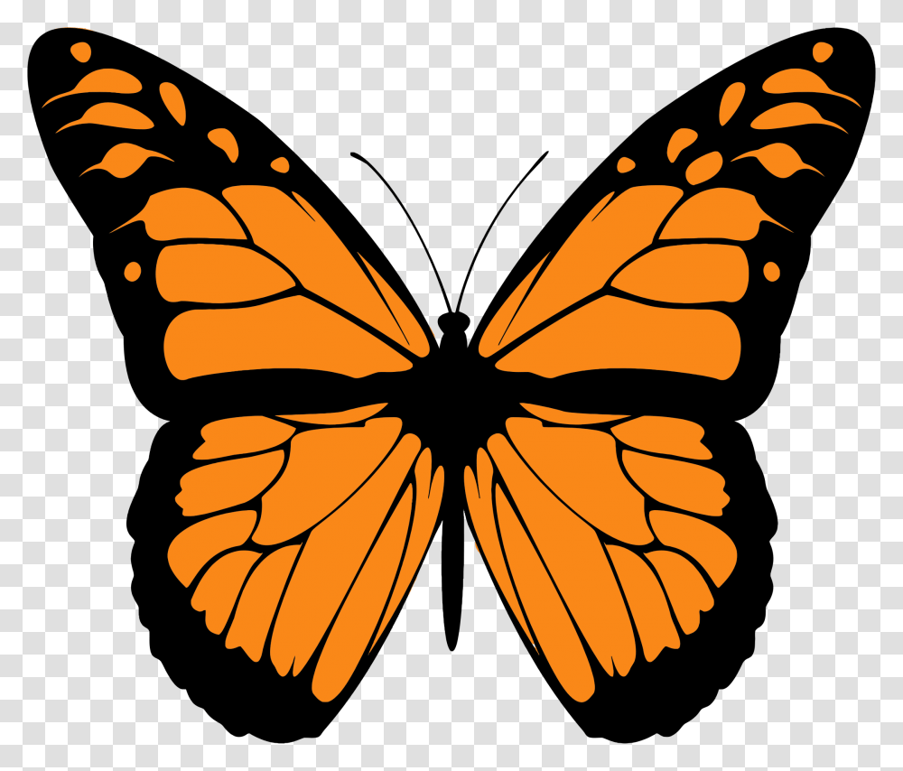 Monarch Butterfly High Quality Image Monarch Butterfly Wings, Pattern, Ornament, Insect, Invertebrate Transparent Png