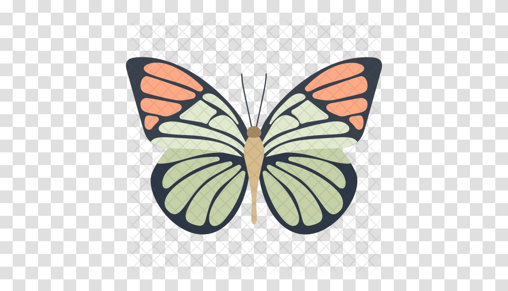 Monarch Butterfly Icon Of Colored Lovely, Pattern, Art, Grille, Animal Transparent Png
