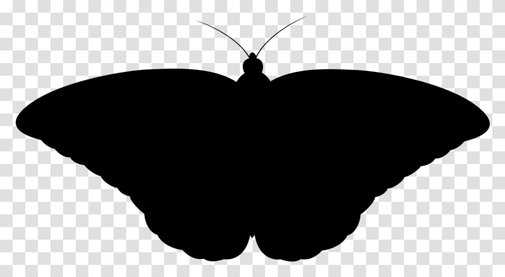 Monarch Butterfly Ii Silhouette Mariposa Monarca, Gray, World Of Warcraft Transparent Png