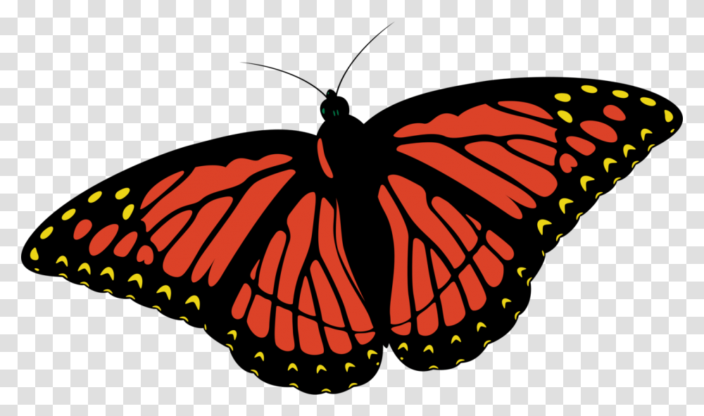 Monarch Butterfly Insect Coloring Book Drawing, Invertebrate, Animal Transparent Png