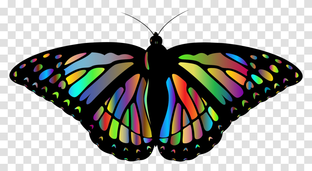 Monarch Butterfly Insect Drawing Video, Ornament, Pattern Transparent Png