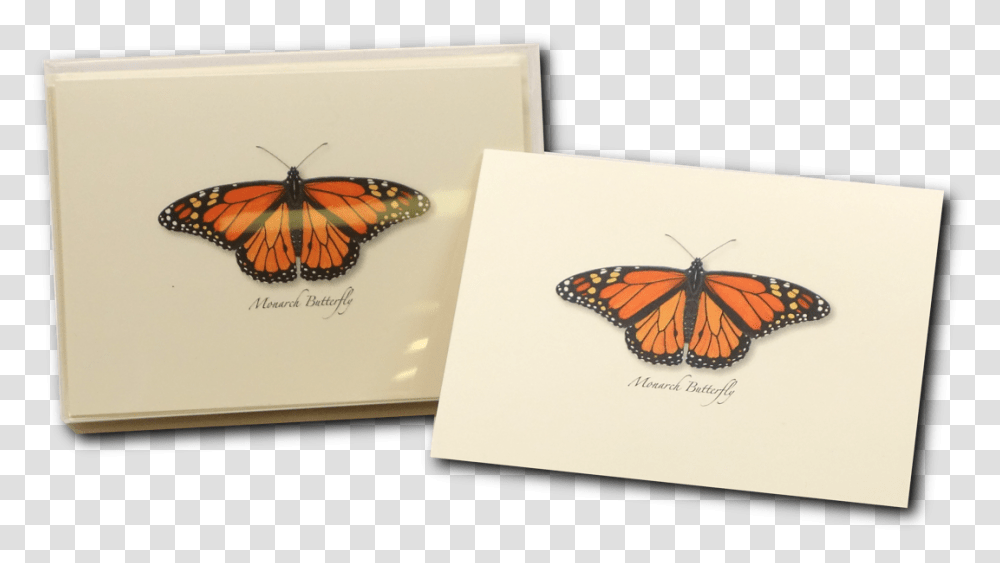 Monarch Butterfly, Insect, Invertebrate, Animal, Envelope Transparent Png