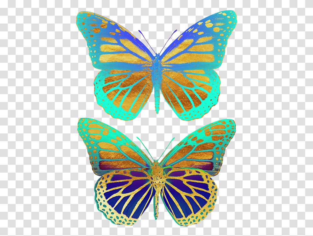 Monarch Butterfly, Insect, Invertebrate, Animal, Pattern Transparent Png