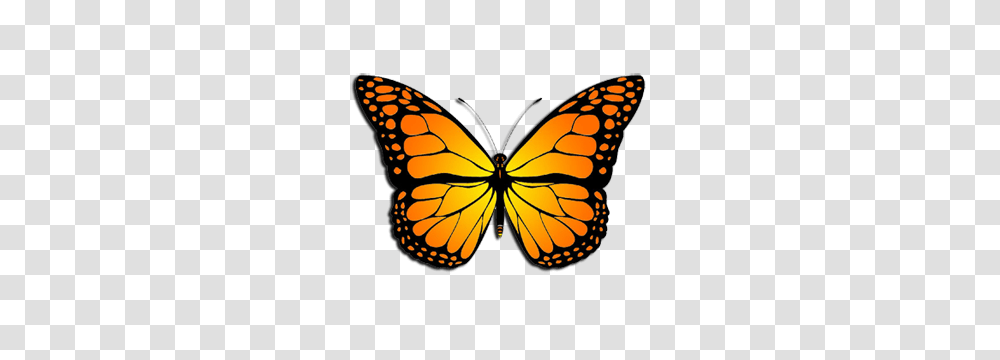 Monarch Butterfly, Insect, Invertebrate, Animal Transparent Png