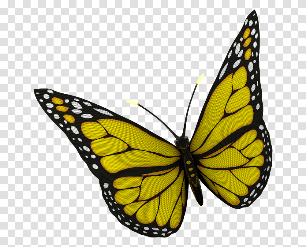 Monarch Butterfly, Insect, Invertebrate, Animal Transparent Png