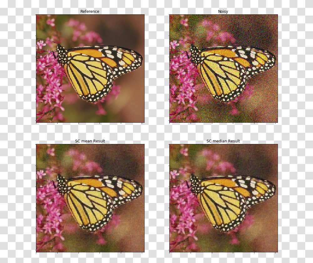 Monarch, Butterfly, Insect, Invertebrate Transparent Png